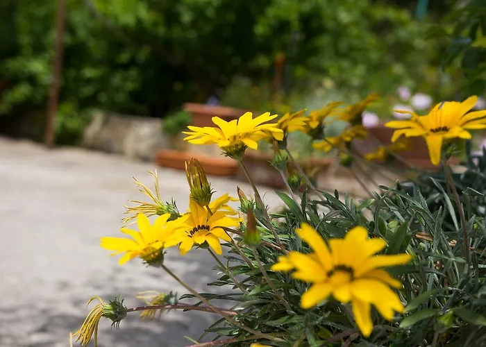 Astrid * Veli Lošinj